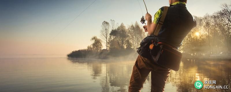 冬天什么时间钓鱼最佳时机