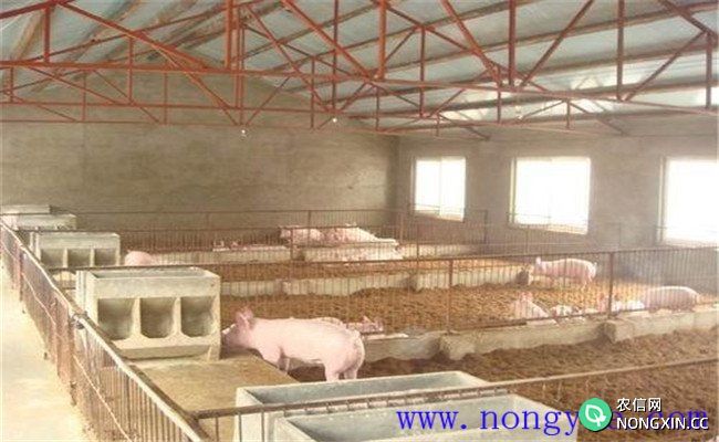发酵床养猪场发酵床制作方法及相关要求