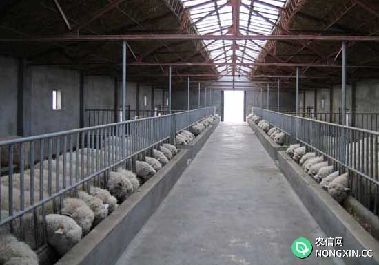 羊养殖场消毒技术要点