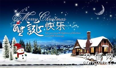中国钓鱼人网恭祝广大钓鱼人圣诞节快乐(Merry Christmas)