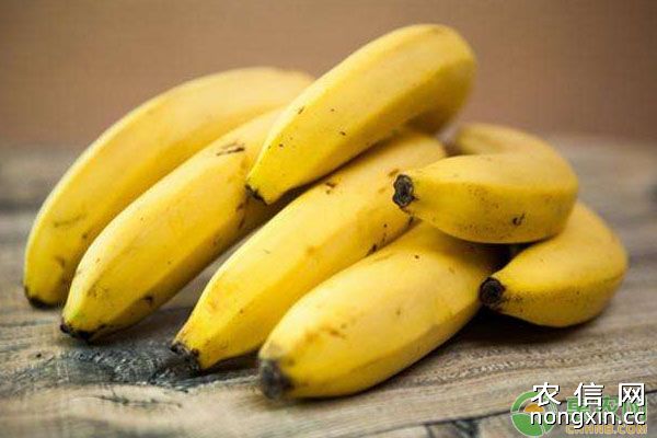 香蕉常用的杀虫剂种类及使用注意事项