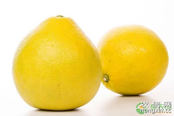 柑、橙、柚果树出现黄化病的原因及防治措施