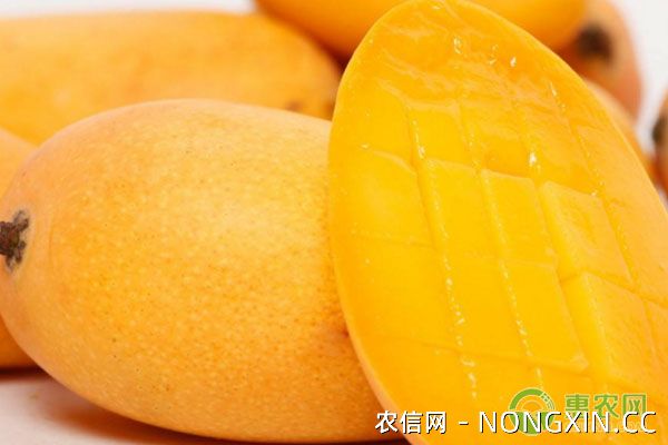 芒果常用杀菌剂灭病威理化性质、防治对象等要点