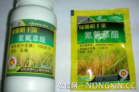 氰氟草酯对水稻幼苗有没有危害