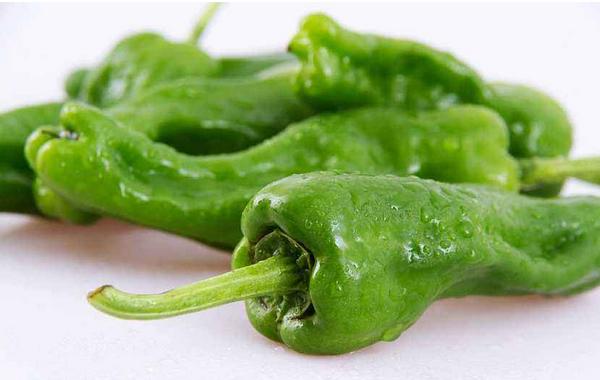 尖椒和青椒的区别是什么 吃青椒减肥吗