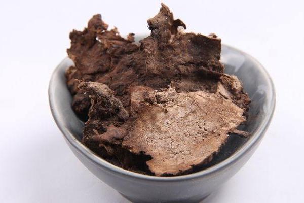 茯苓皮的功效与作用及禁忌 茯苓皮的食用方法