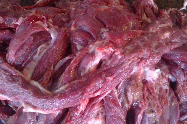 貉子肉价格多少钱一斤？