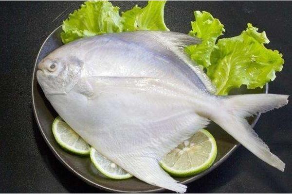 白鲳鱼怎么洗干净 平鱼和鲳鱼的区别是什么