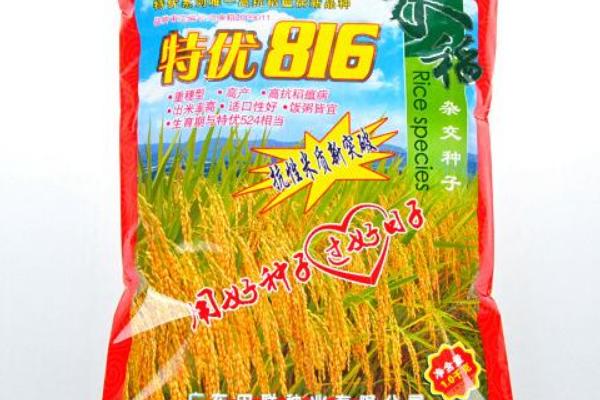 杂交水稻种子价格-