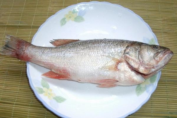 加州鲈鱼市场价格多少钱一斤 加州鲈鱼是海鲈鱼吗