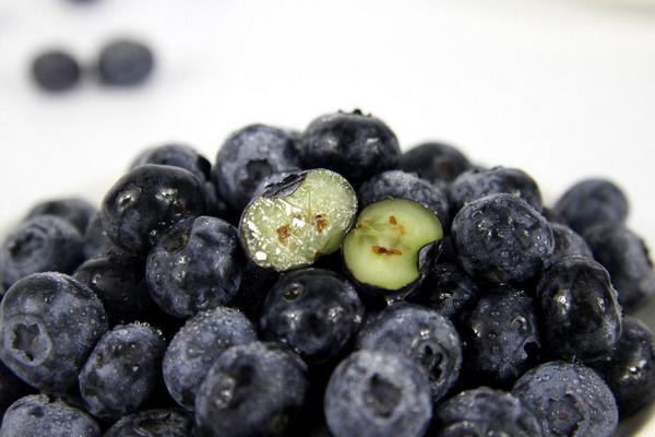 蓝莓外面的白霜是什么 蓝莓生白虫了能吃吗