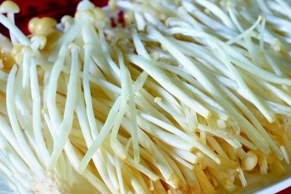 肥牛金针菇正宗做法 肥牛金针菇怎么做简单又好吃