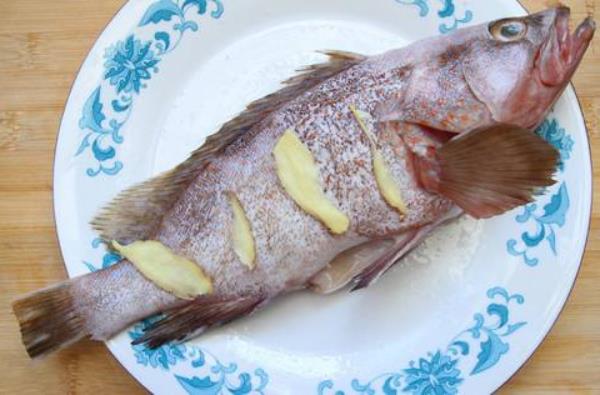 石斑鱼怎么做好吃又简单 石斑鱼的家常做法大全
