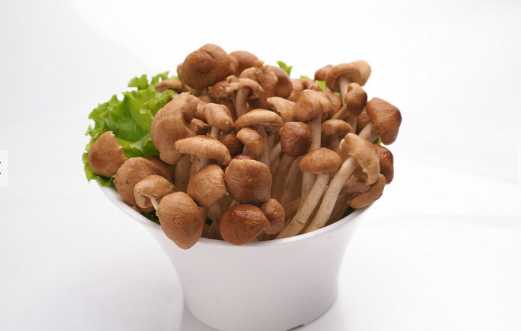 茶树菇的营养价值和功效 孕妇可以吃茶树菇吗