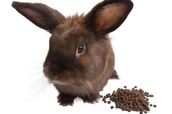兔粪怎么发酵 兔粪可以直接施肥吗
