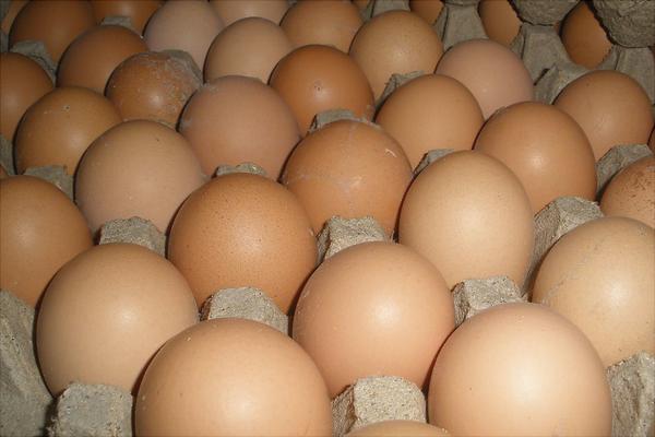 土鸡蛋和饲料鸡蛋营养价值一样吗？