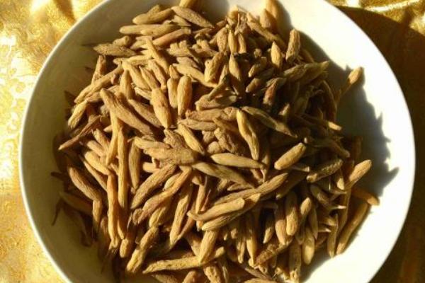 山麦冬的功效与作用及禁忌 山麦冬可以多吃吗