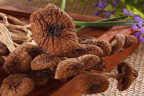 干煸茶树菇做法 茶树菇的营养价值