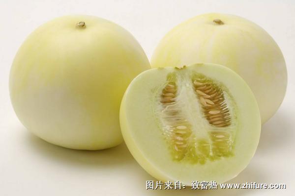 香瓜种子价格多少钱一斤