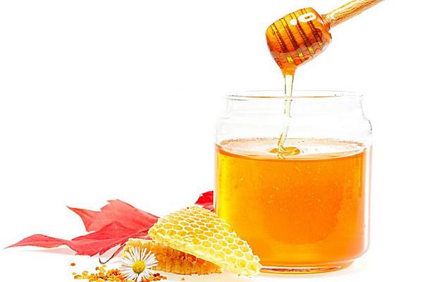 枇杷蜂蜜的功效与作用及禁忌