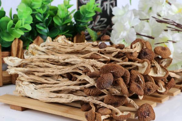 茶树菇炒肉的做法 茶树菇有哪些吃法