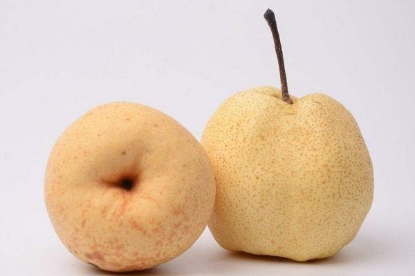 梨有多少种 梨子的常见品种有哪些