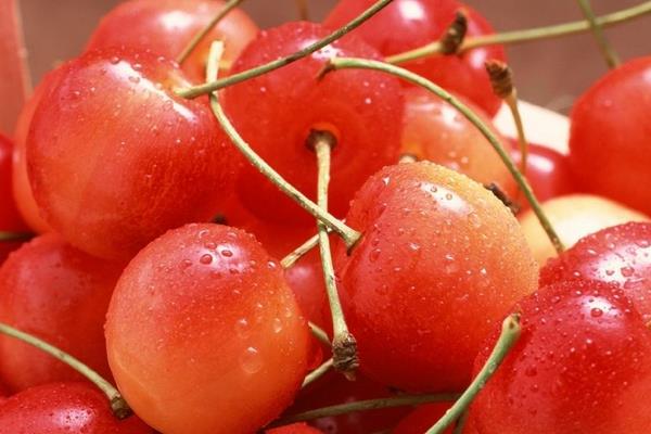 白樱桃和红樱桃的区别是什么 樱桃是热性还是凉性的