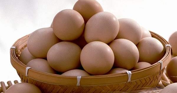 野鸡蛋市场价格多少钱一个 野鸡蛋要孵化多少天