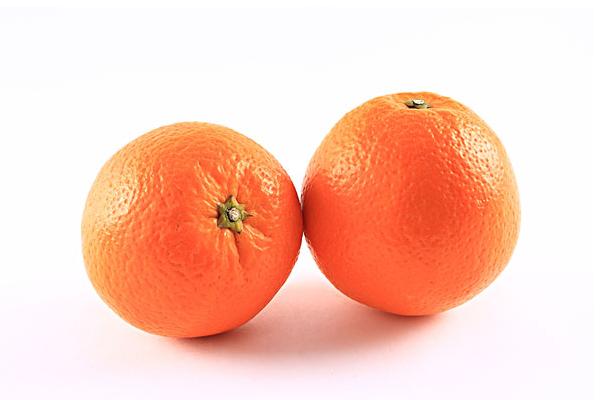 脐橙怎么分公母