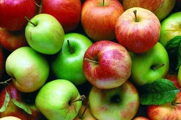 国光苹果市场价格多少钱一斤 国光苹果产地在哪里