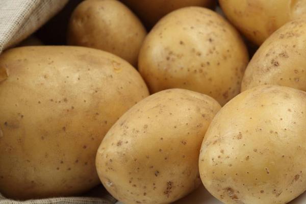马铃薯是土豆还是红薯？