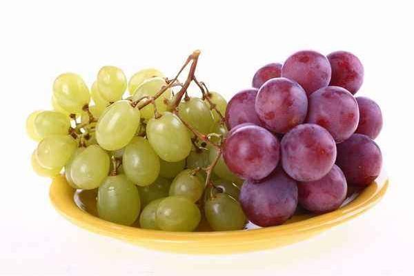葡萄种类有哪些