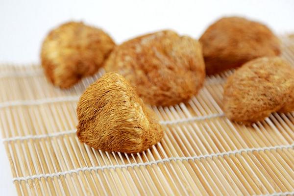 猴头菇的家常做法 新鲜猴头菇怎么做好吃