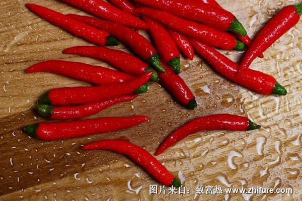 小辣椒价格多少钱一斤