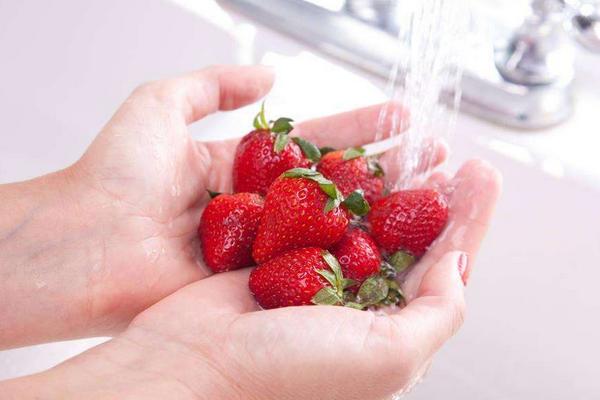 草莓价格多少钱一斤