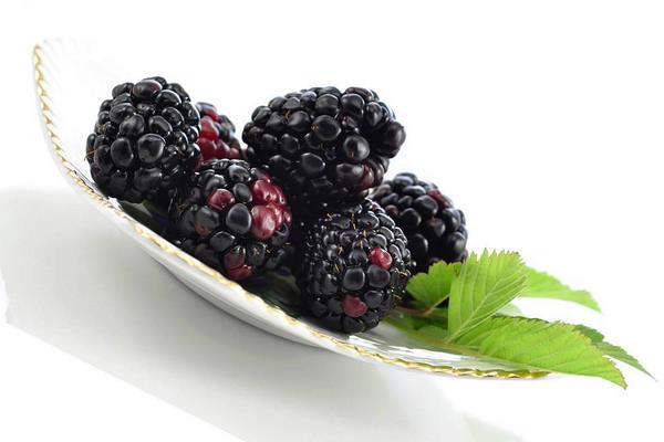 黑莓是什么水果