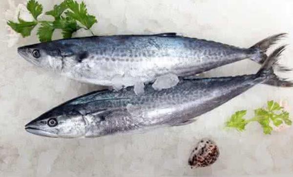 鲅鱼和青鱼的区别是什么 吃鲅鱼的好处
