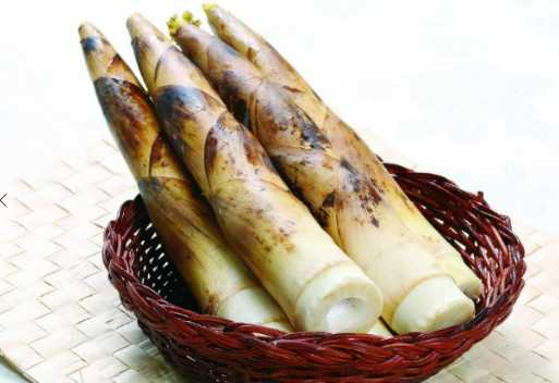 竹笋的营养价值和功效 哪个季节的竹笋最好吃