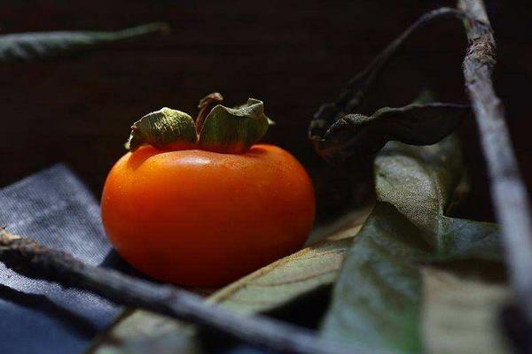 泡柿子怎么做好吃 空腹能吃涩柿子吗