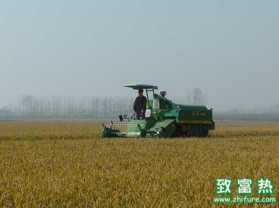 农业供给侧改革升温 米大豆价格排前