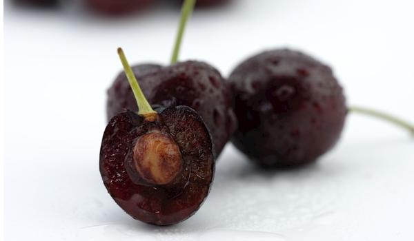 黑樱桃功效与作用及禁忌 黑樱桃营养价值
