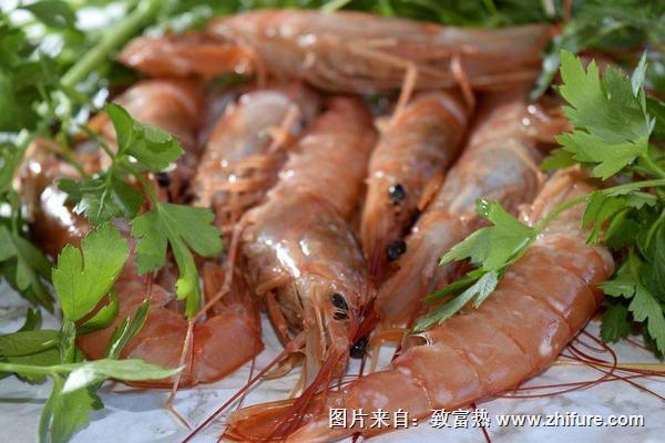 对虾和基围虾的区别是什么？