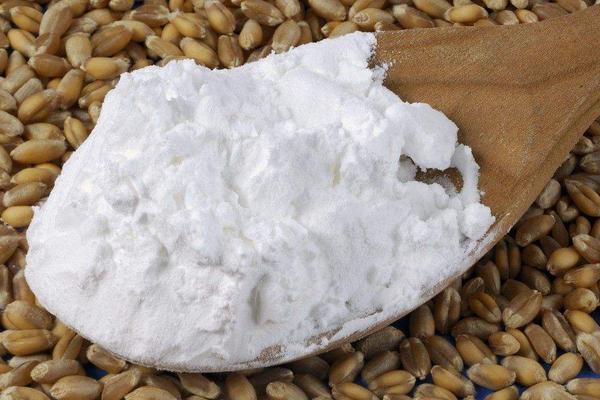 小麦淀粉可以做什么？