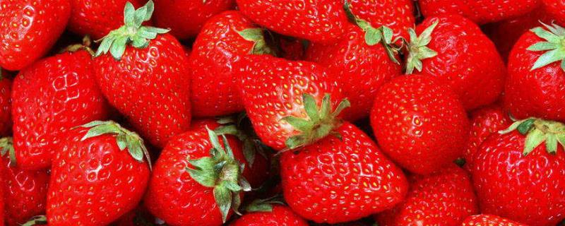 草莓农药多吗？怎么去除？