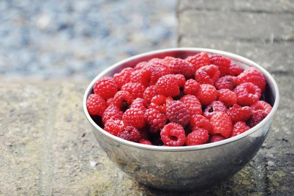 树莓价格多少钱一斤