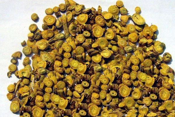黄芩的功效与作用及禁忌 黄芩的炮制方法