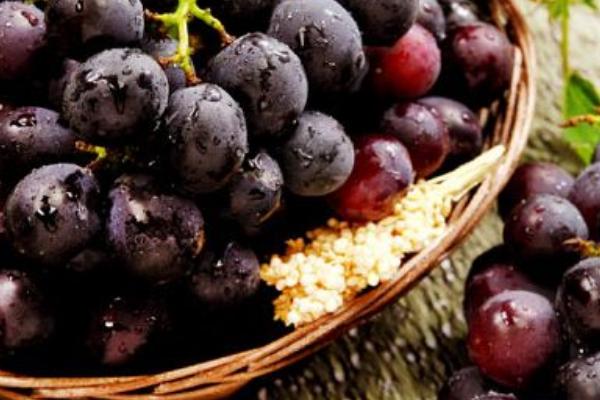 巨峰葡萄营养价值
