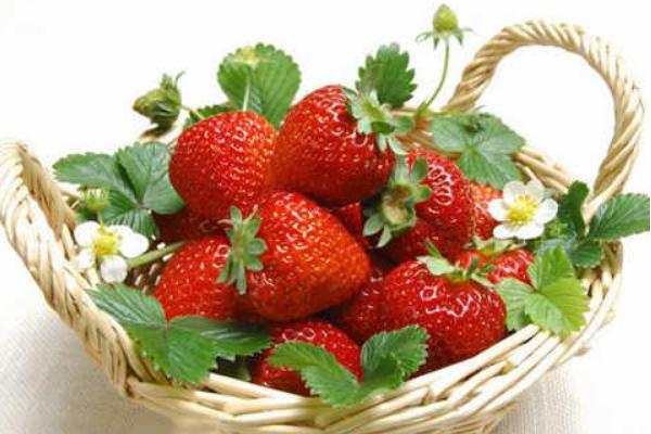 草莓壮阳吗