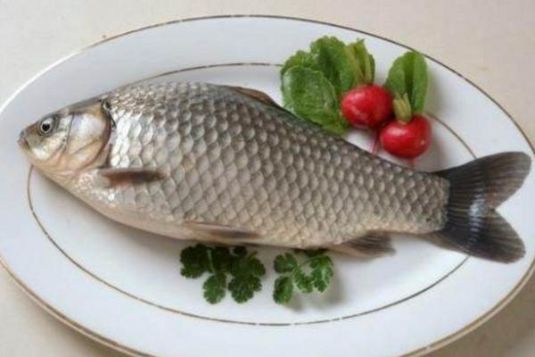 白鲫鱼和黑鲫鱼的区别是什么 白鲫鱼和黑鲫鱼的营养一样吗