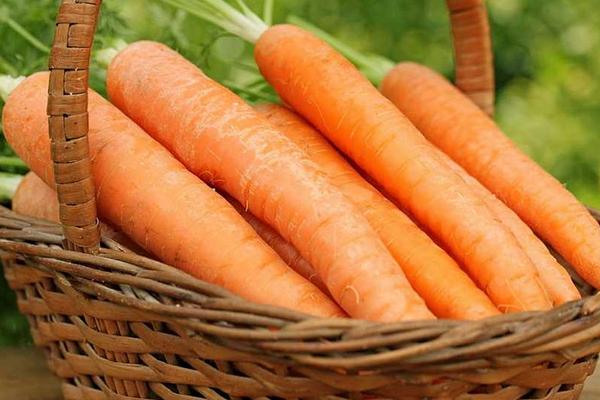 吃胡萝卜的好处是什么 胡萝卜一天吃多少好